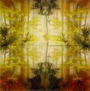 001 Pflanzen - 3 lagig - Molca